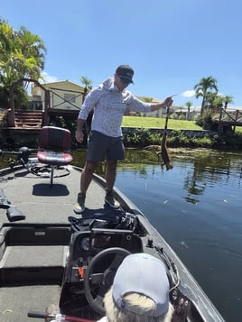 Iguana Hunting Sunrise FL