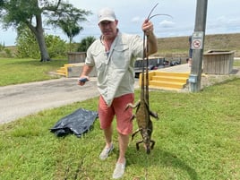 Iguana Hunting Sunrise FL
