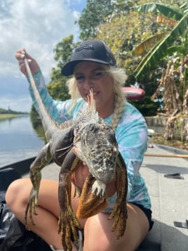 Iguana Hunting Sunrise FL