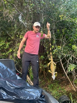Iguana Hunting Sunrise FL