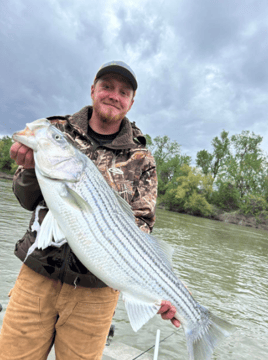 Sacramento River Fishing