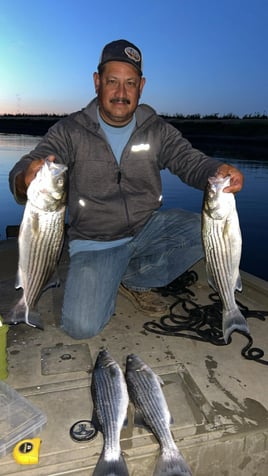 Sacramento River Fishing