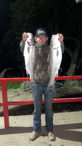 Sacramento River Fishing