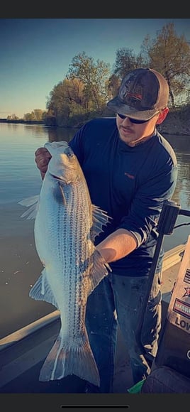 Sacramento River Fishing