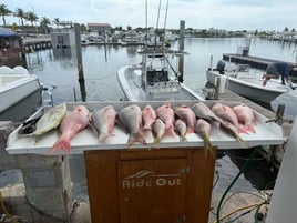 Offshore, Wreck, And Reef Key West