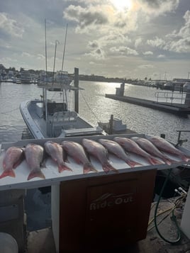 Offshore, Wreck, And Reef Key West