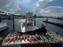 Offshore, Wreck, And Reef Key West