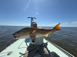 Louisiana Fly Fishing Charter