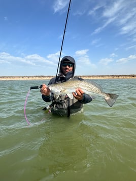 Half Day Trup With Live Bait