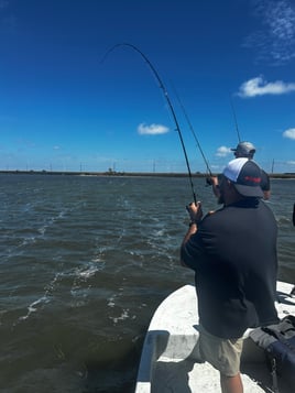 Half Day Trup With Live Bait