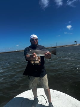 Half Day Trup With Live Bait