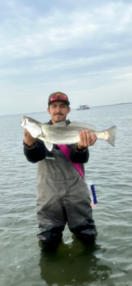 Half Day Trup With Live Bait