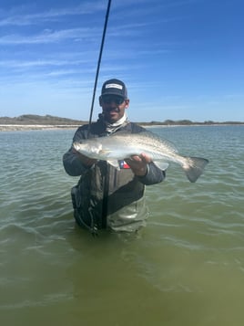 Half Day Trup With Live Bait