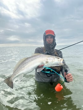 Half Day Trup With Live Bait
