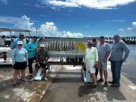 Half Day Trup With Live Bait