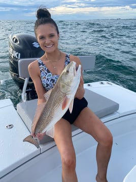 Inshore Trip Ponce Inlet, FL