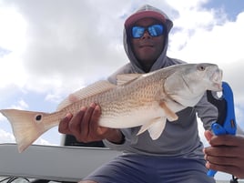 Experience The Best Of Laguna Madre