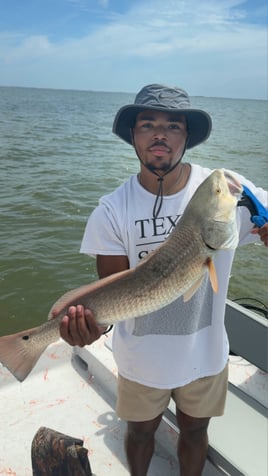 Experience The Best Of Laguna Madre