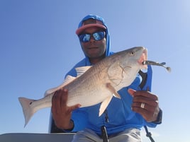 Experience The Best Of Laguna Madre