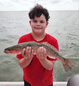 Experience The Best Of Laguna Madre