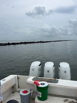 4hr-inshore Jetty Fishing