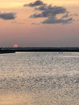 Cruises (Sunset, Excursion, Etc.)