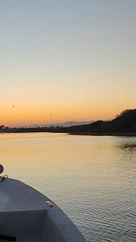 Sunset Cruise