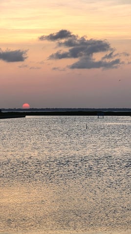 Sunset Cruise
