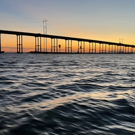 Cruises (Sunset, Excursion, Etc.)