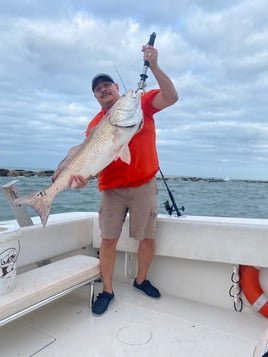 Bull Red / Shark Hunt