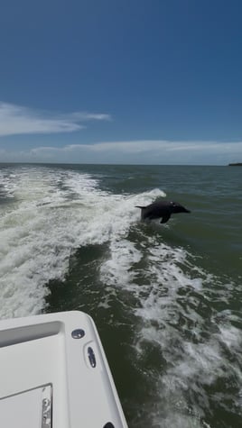Inshore Fishing 