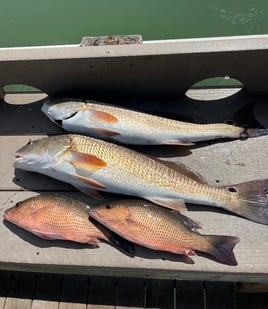 Inshore Fishing 