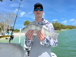 Inshore Fishing 