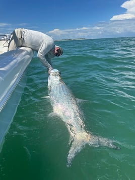 Boca Grande Fishing Charter