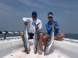 6 Hour Offshore Bottom/Trolling