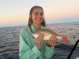 6 Hour Offshore Bottom/Trolling
