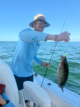6 Hour Offshore Bottom/Trolling