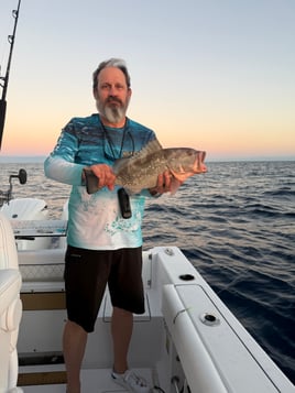 6 Hour Offshore Bottom/Trolling