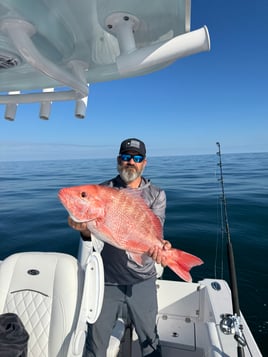6 Hour Offshore Bottom/Trolling