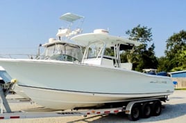 Nearshore Reds, Sharks, and Cobia