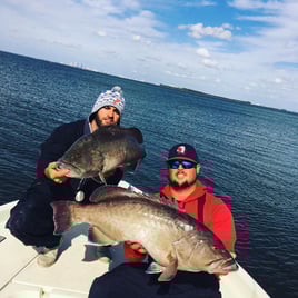 Full Day Tampa Bay Adventure