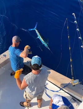 Premier Destin - 60’ Blackwell