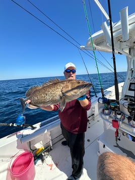 Half Day Nearshore Fishing