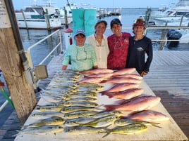 Mahi Mahi, Red Snapper Fishing in Pensacola, Florida