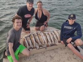 Drifting Laguna Madre for Pigs