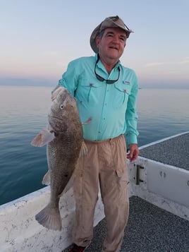 Black Drum Fishing in South Padre Island, Texas