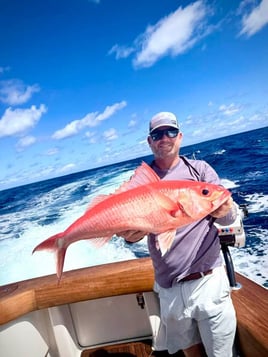 Spring/Summer Inshore Fishing