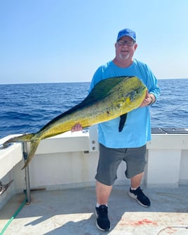 Offshore Sea Monsters