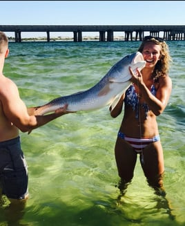 Choctawhatchee Bay Reds and Trout