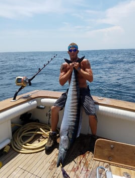 Offshore Fishing - 24ft Sea Pro